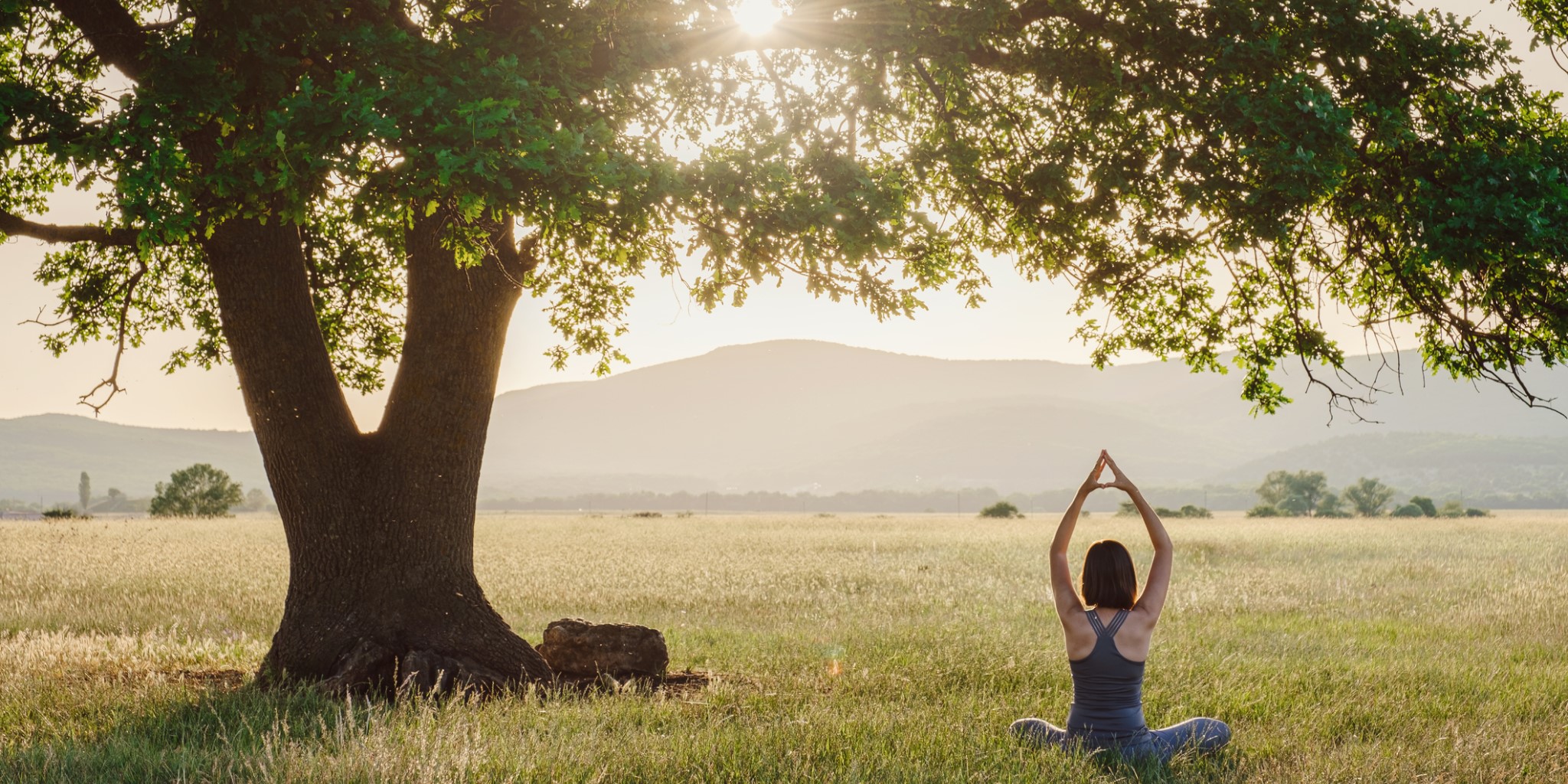 Prevenir antes que curar. O paciente no centro do diagnótisco.